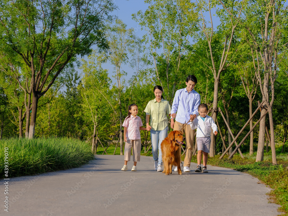 Happy family of four walking dogs in the park Happy family of four walking dogs in the park
