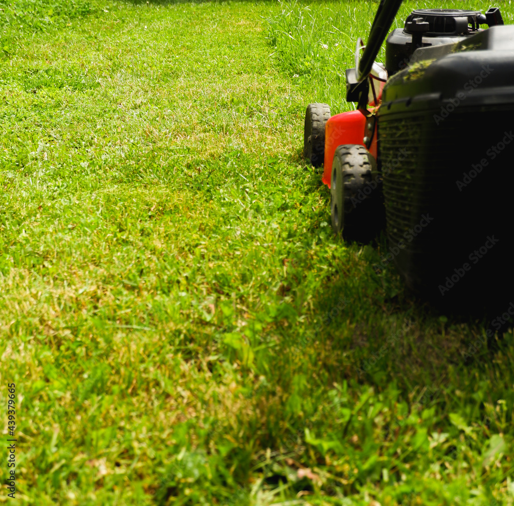 Lawn grass mowing. A man in a plaid shirt and blue jeans mows the grass with a lawn mower. Close up view. Lawn grass mowing. A man in a plaid shirt and blue jeans mows the grass with a lawn mower. Close up view.