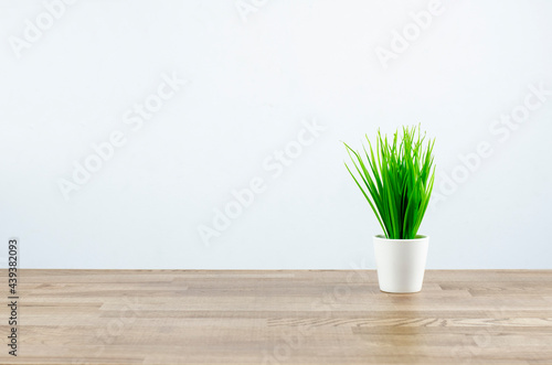 Green flowerpot in a white pot on a wooden table. Desktop.