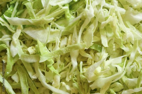 Enlarged color photograph of fresh sliced cabbage. Young healthy greens with vitamins. Lettuce leaves. Vegetarianism and veganism.