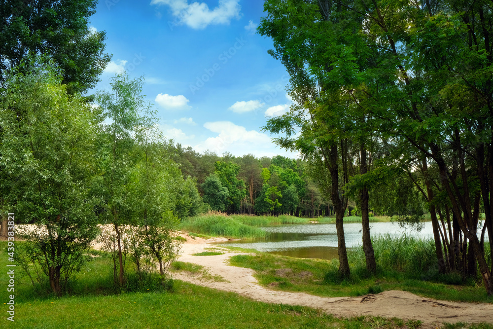 The lake in the park. A green meadow in the middle of the park. Beautiful deciduous forest. A place for family outdoor activities and fishing. Recreation zone. Empty space for your text or design. 