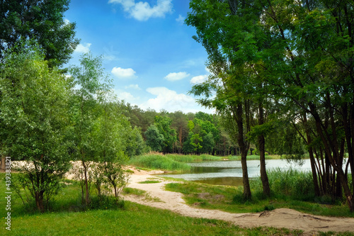 The lake in the park. A green meadow in the middle of the park. Beautiful deciduous forest. A place for family outdoor activities and fishing. Recreation zone. Empty space for your text or design. 