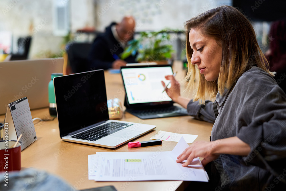 Woman reading business report Woman reading business report