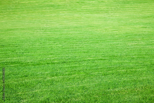 The green grassy field recedes into the distance. The grass is neatly trimmed and well-groomed. The lawn looked horizontally from left to right. The image can be used as a texture or background. 
