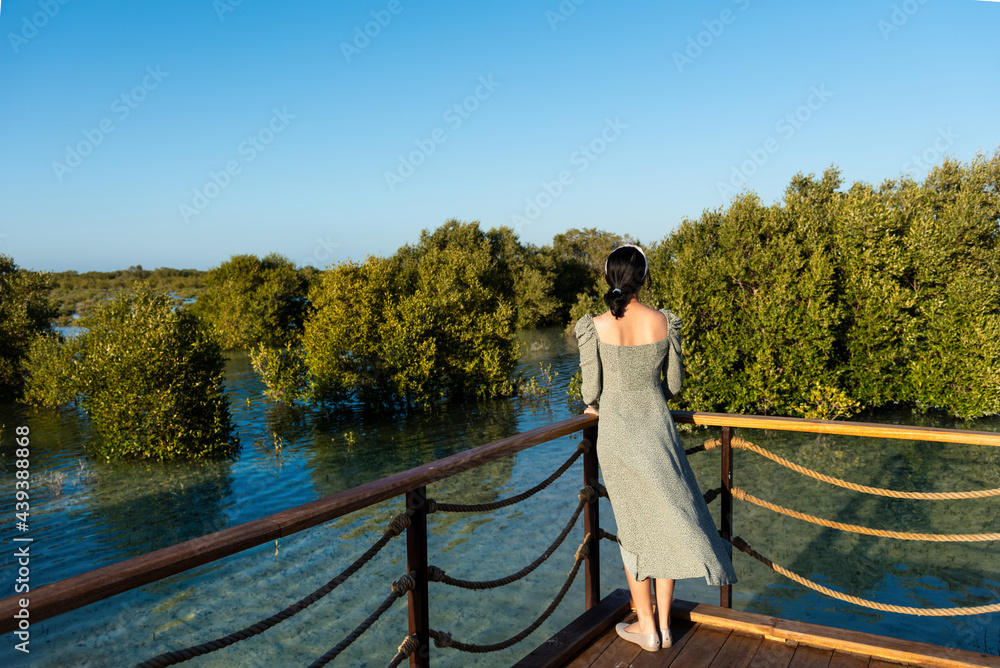 Naklejka premium Woman visiting Mangrove walk public park in Jubail island Abu Dhabi, UAE