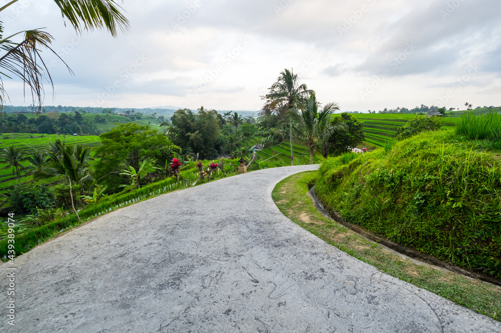 Jatiluwih rice terraces on Bali