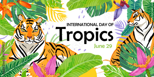 International Day of the Tropics. Colorful illustration with tiger  banana flower and leaves  palm plant on white background