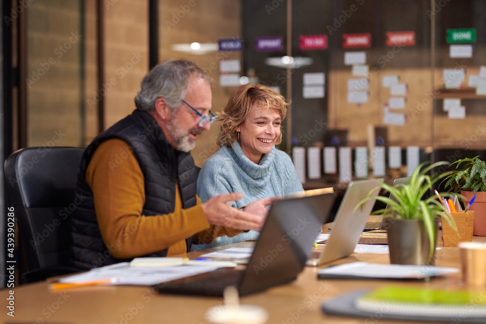 Two senior colleagues smiling at work. Two senior colleagues smiling at work.