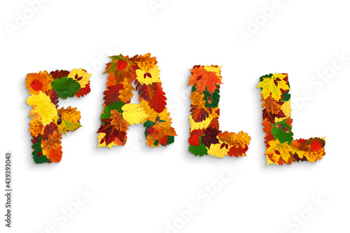 Curved word “FALL” made with colorful hawthorn, maple, alder, oak fall leaves, physalis lanterns (Physalis alkekengi), dog-rose fruits and acorns, with grey shadow on white