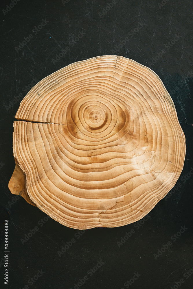 Polished cross section of tree trunk on black table, top view Polished cross section of tree trunk on black table, top view