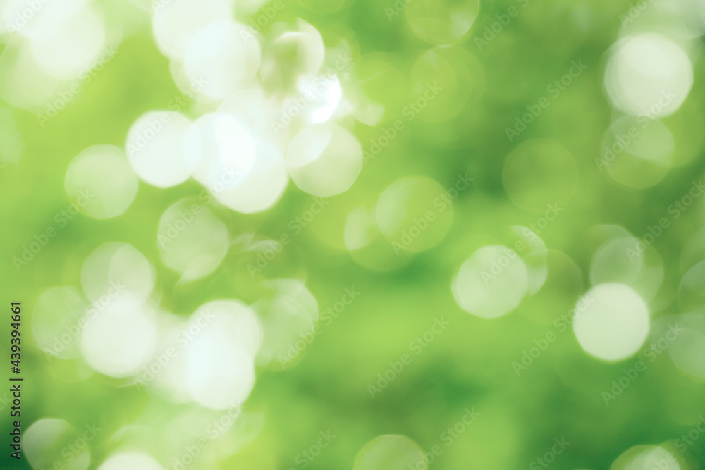 Blurry bokeh background of green leave with sunlight in sunny day. Abstract green bokeh background of trees in the park Blurry bokeh background of green leave with sunlight in sunny day. Abstract green bokeh background of trees in the park