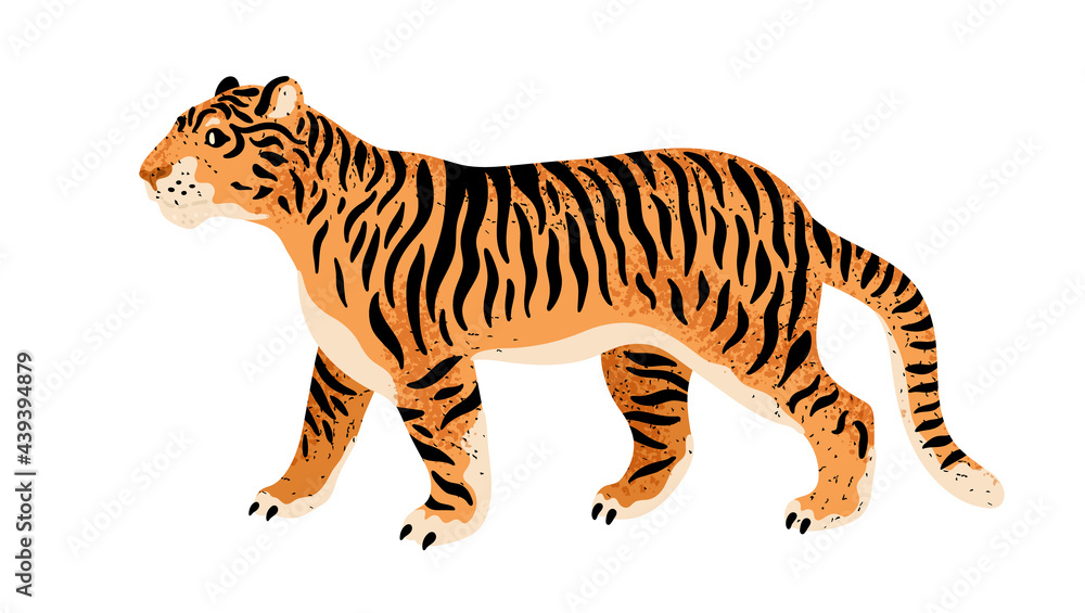 Wild tiger isolated on white background. Exotic cartoon animal with stripy coat. Predator animal vector illustration in flat style. Endangered species. Wild tiger isolated on white background. Exotic cartoon animal with stripy coat. Predator animal vector illustration in flat style. Endangered species.