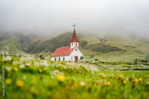 Typical Rural Icelandic Church with red roof in Vik region. Iceland. Blossom flower and foliage in foreground
