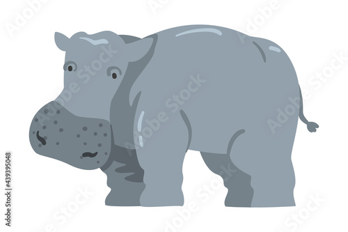 Cute Hippopotamus African Animal  Wild Herbivore Jungle Animal Cartoon Vector Illustration