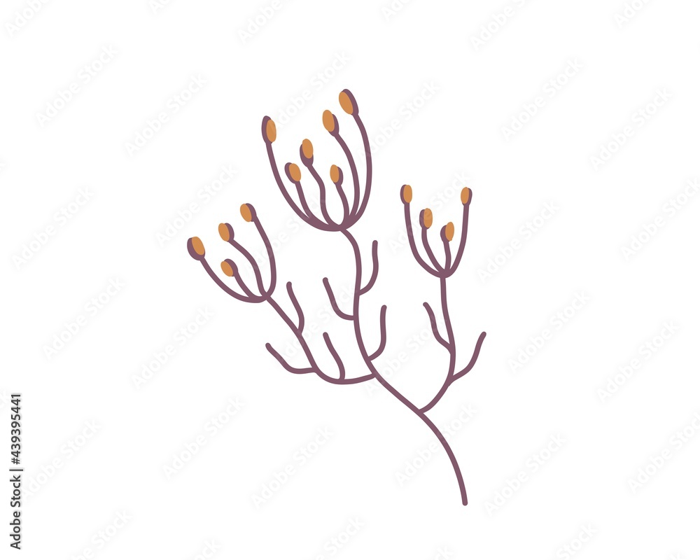 Autumn isolated leaf, berries, branch, nuts Autumn isolated leaf, berries, branch, nuts