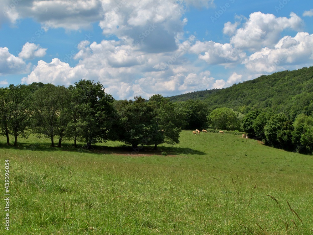 Paysage rural dans le Tournugeois.