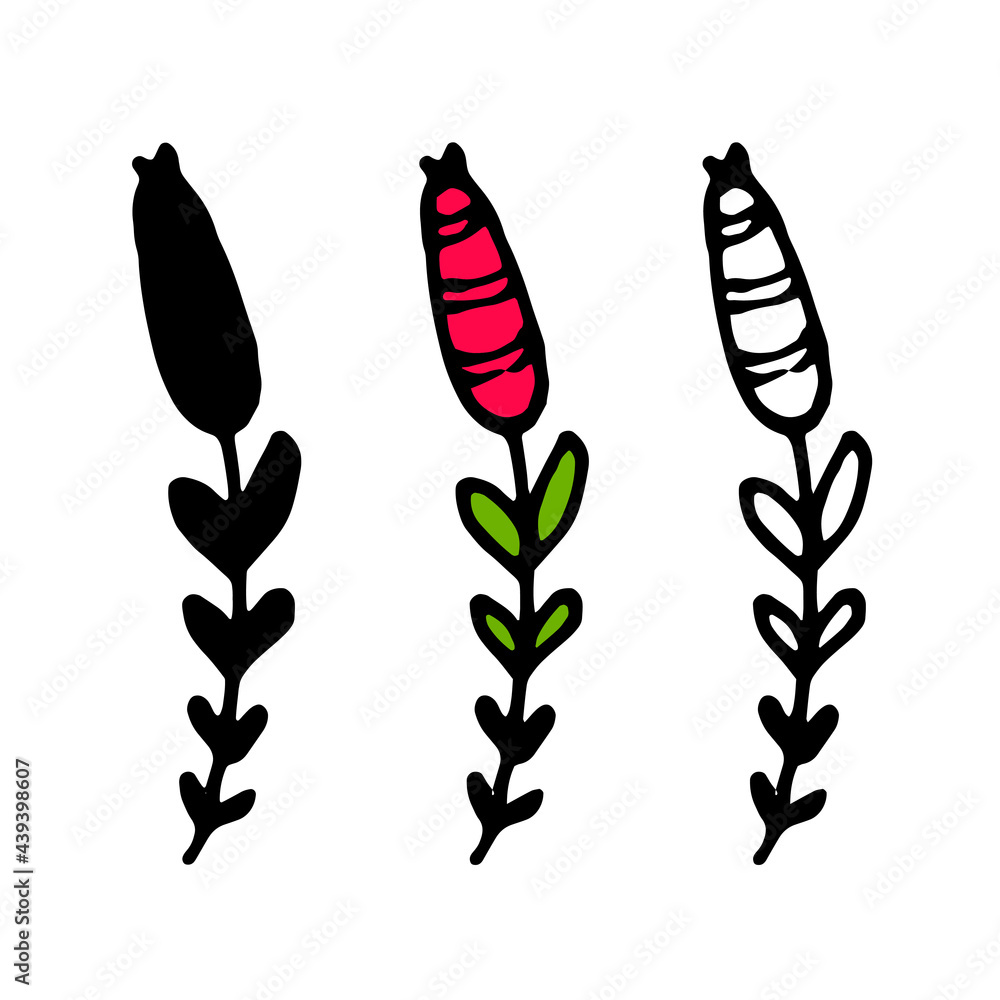 vector twig with a red oval berry with a pattern of stripes and green leaves with a black outline on a white background. doodle twig isolated outline and silhouette, for textile design template, postc