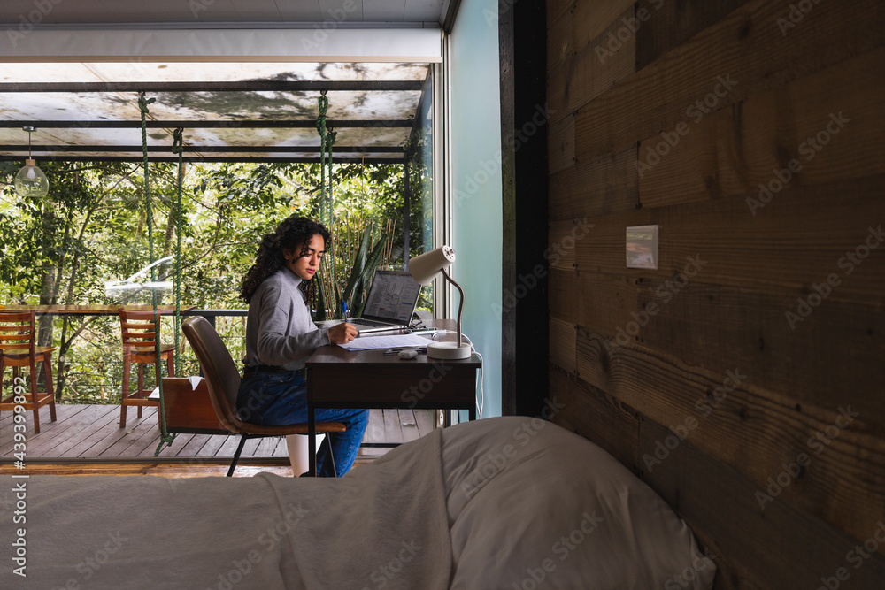 Woman Working from Home Woman Working from Home