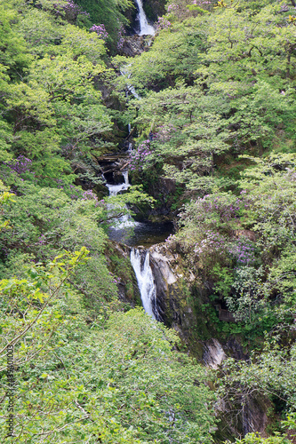 Devil's Bridge Falls and nature trail in Rhaeadrau Pontarfynach - Wales. Summertime foilage on the nature trail through the Rheidol Gorge. photo