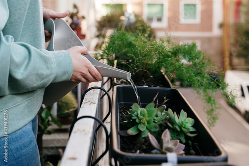 Woman watering plants in balcony photo