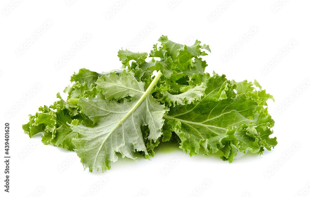 Green leaf of kale isolated on white background.