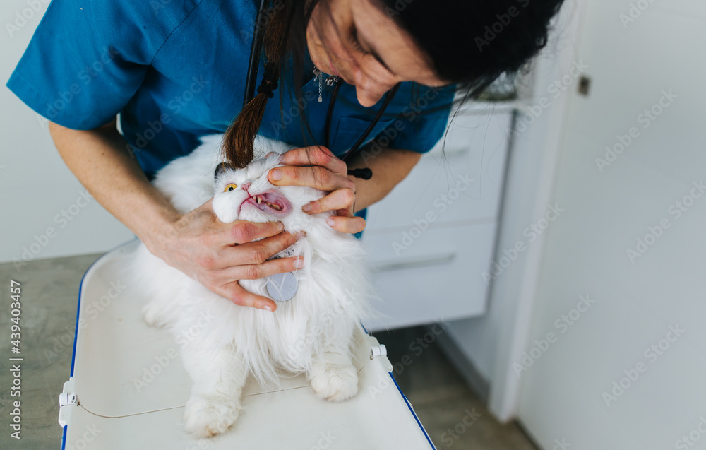 Veterinary office Veterinary office