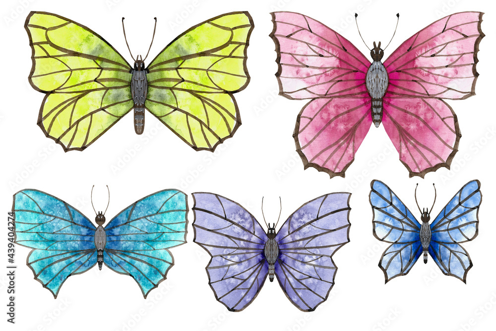 Set of 5 butterflies watercolor on white background   