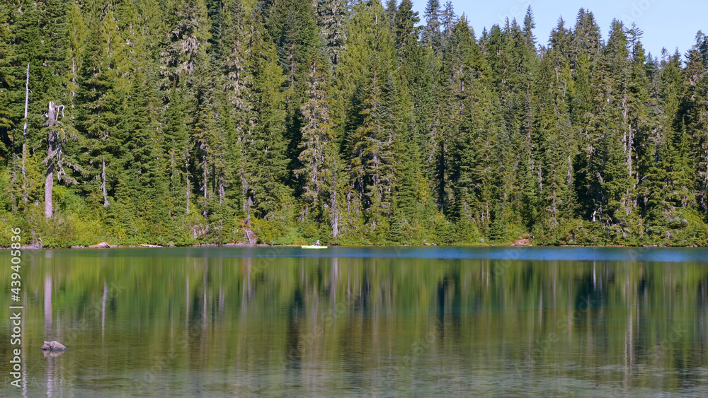 Beauty Mount Rainier National Park Forest Woods Lake Water Sky