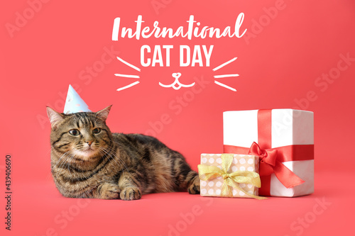 Cute cat in party hat and w...