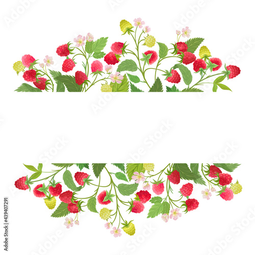Raspberry floral wreath with watercolor fruit berries, flowers, leaves. Vector summer vintage banner