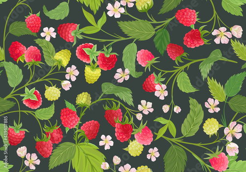 Seamless raspberry pattern with summer berries, fruits, leaves, flowers background