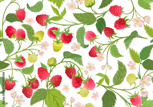 Watercolor raspberry seamless pattern. Summer berries, fruits, leaves, flowers background