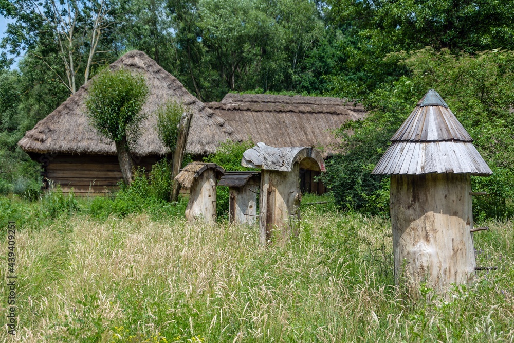stara pasieka
