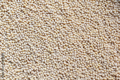 Raw whole dried white Urad lentils photo