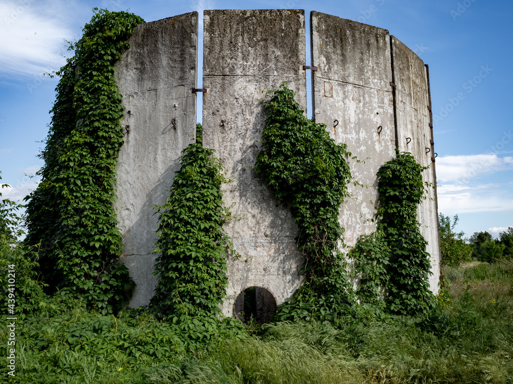 Fototapeta premium bizarre concrete structure overgrown with ivy