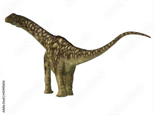 Argentinosaurus Dinosaur Juvenile Tail - Argentinosaurus was a herbivorous sauropod dinosaur that lived in Argentina during the Cretaceous Period. © Catmando