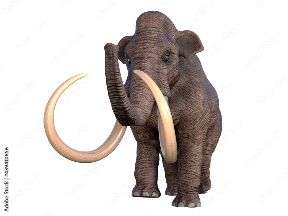 Obraz premium Columbian Mammoth Walking - During the Ice Age of North America the Columbian Mammoth was the megafauna of the continent.