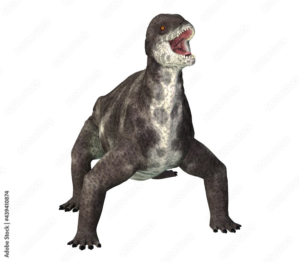 Obraz premium Criocephalosaurus Dinosaur on White - Criocephalosaurus was a therapsid dinosaur that lived during the Permian Period of South Africa.