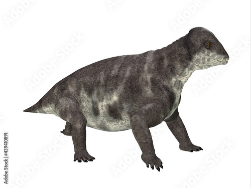 Criocephalosaurus Dinosaur Side Profile - Criocephalosaurus was a therapsid dinosaur that lived during the Permian Period of South Africa. © Catmando