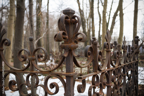Figured rusty grave fence against background of leafless trees. Close-up.