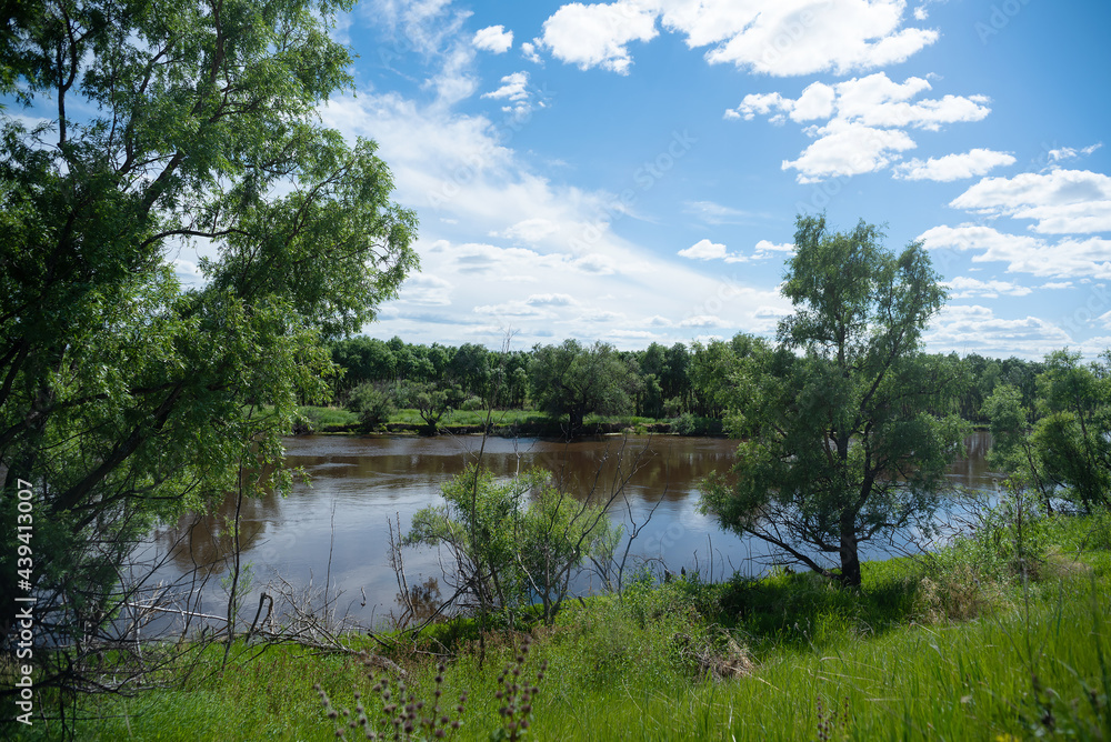A shore of the river under summer blue sky landscape background.
