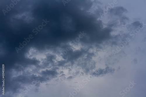 Wallpaper Mural Gray blue sky and beautiful columnus clouds. View from below. It's going to rain soon. Torontodigital.ca
