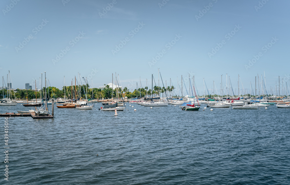 Obraz premium boats in marina coconut grove Miami Florida sky summer travel yachts 