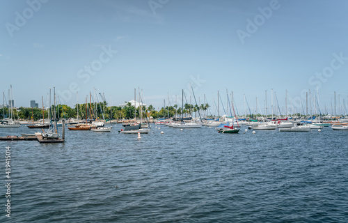 boats in marina coconut grove Miami Florida sky summer travel yachts 
