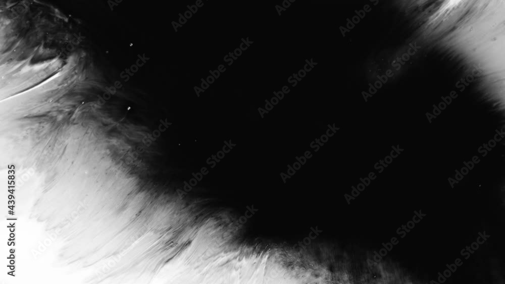 Isolated abstract artistic ink splatters, droplets spreading. Ink matte, splash transition reveals. Ink bleed, bloom, drips. Spilling black paint on white background, watercolor swirls. Spraying paint