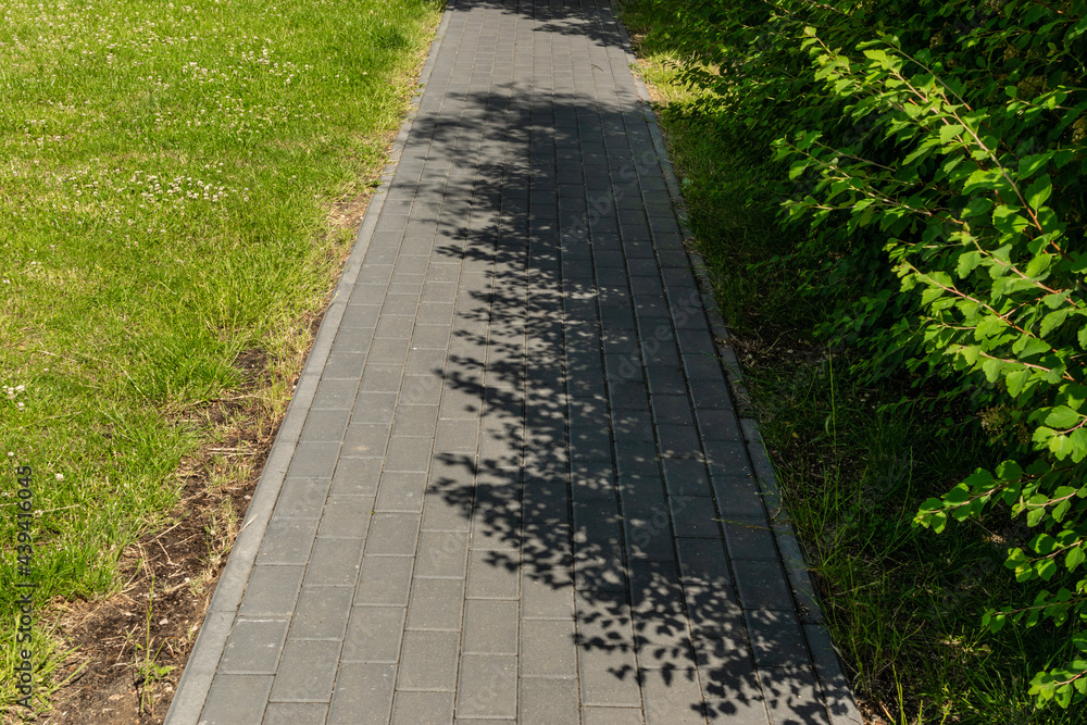 Footpath with grass texture background, paved path pattern