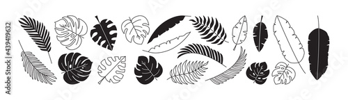 Tropical leaves vector set, black palm leaf outline and flat silhouettes isolated on white background. Editable stroke. Nature exotic illustration