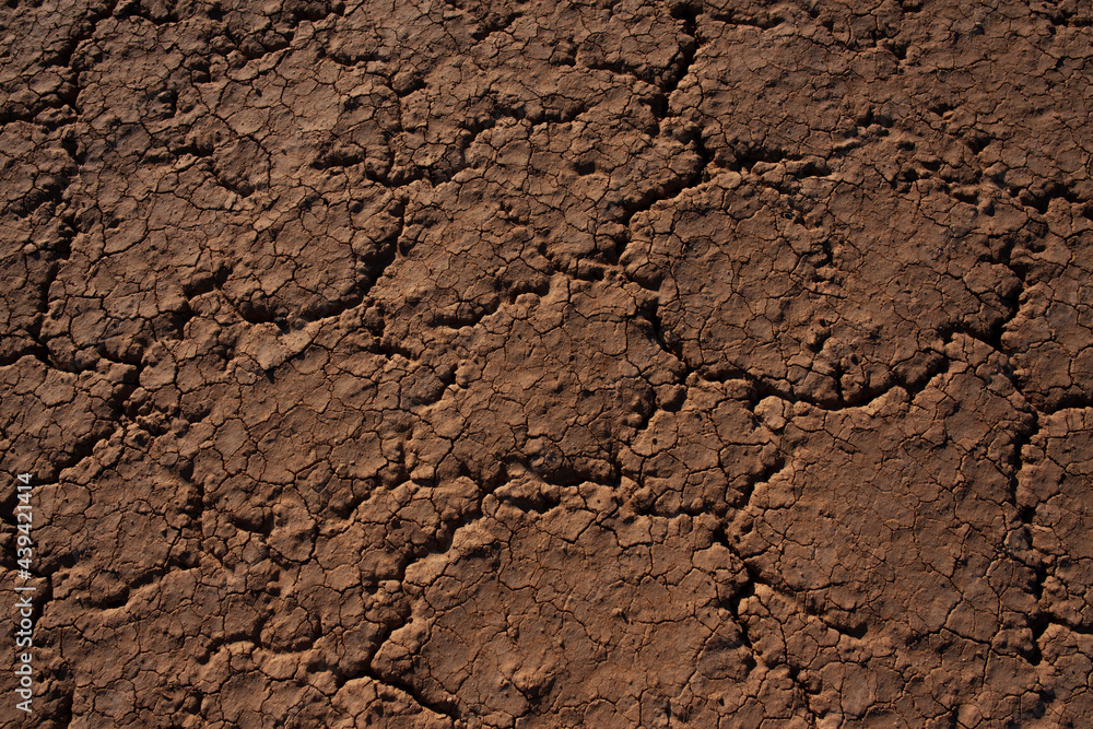 Dry cracked soil in drought conditions Dry cracked soil in drought conditions