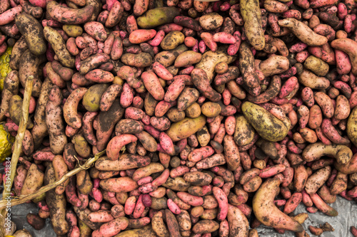 Mercado Campesino 