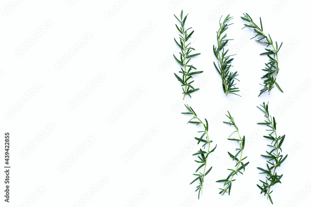Fototapeta premium Rosemary isolated on white background. Top view